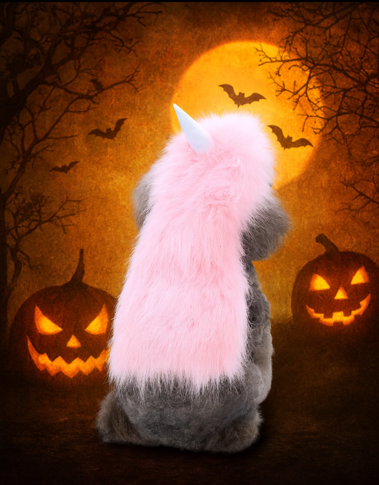 Halloween Dog Outfits