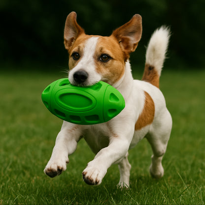 Rubber Sounding Rugby Dog Ball - Bite-Resistant Toy