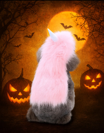 Halloween Dog Outfits