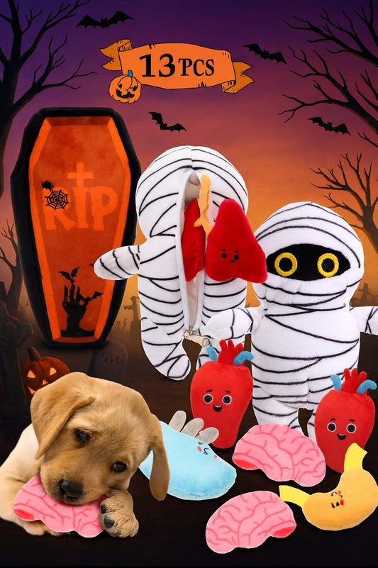 13 Pcs Halloween Hide and Seek Dog Toys